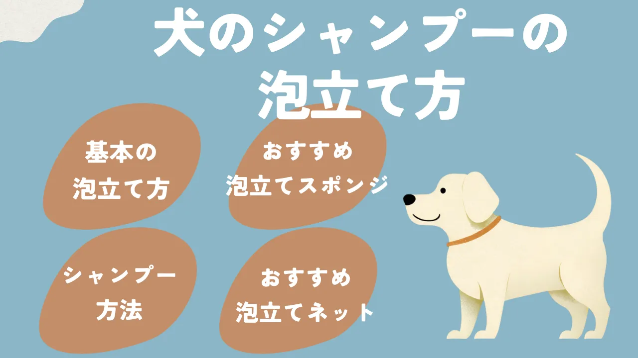 犬のシャンプーの泡立て方について