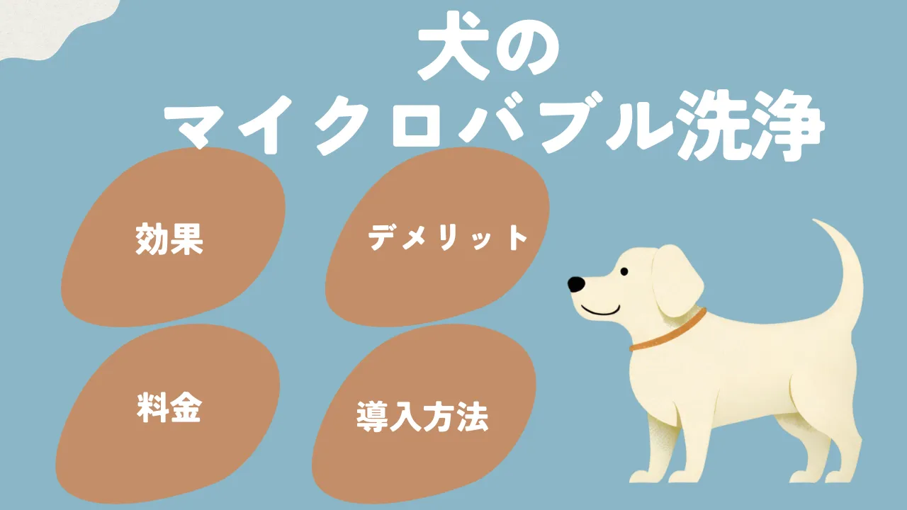 犬のマイクロバブル洗浄について