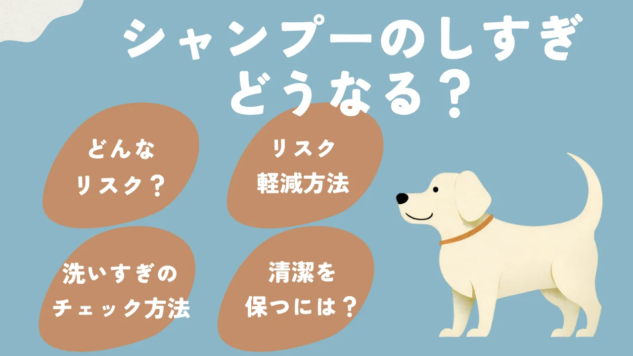 犬のシャンプーのやりすぎについて