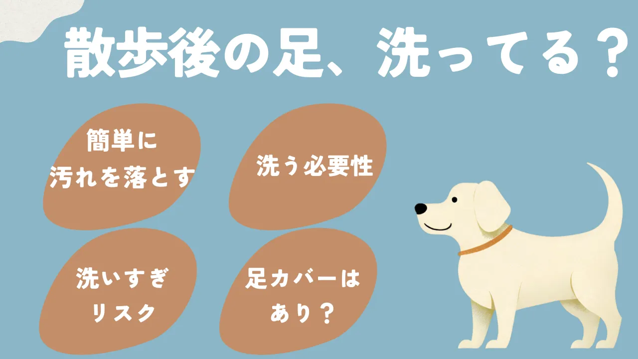 散歩後に犬の足を洗うのがめんどくさいことについて