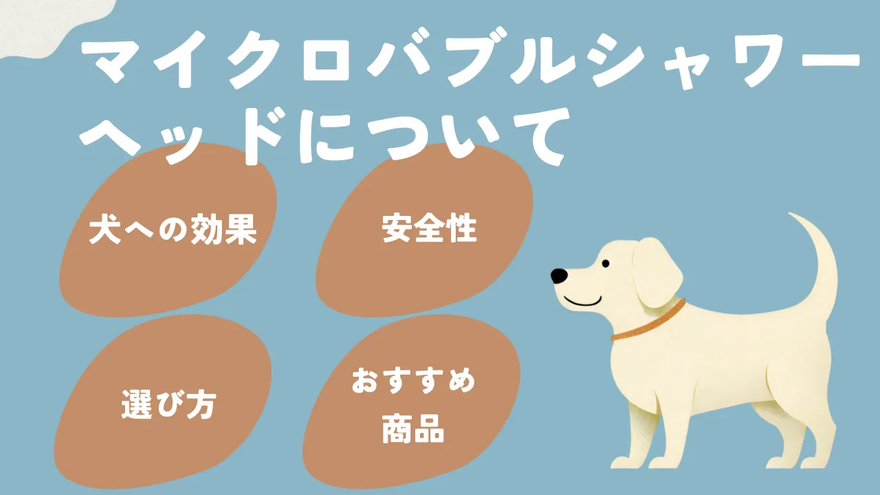 犬とマイクロバブルシャワーヘッドについて