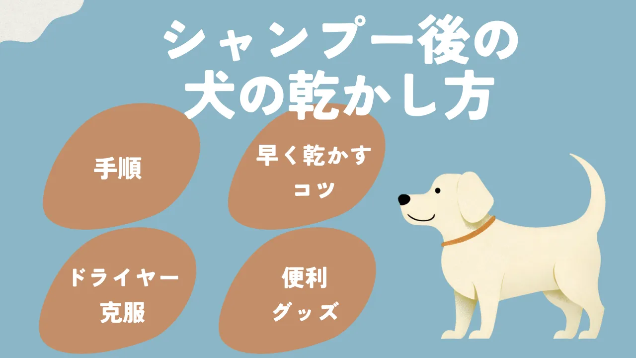 犬 シャンプー 早く 販売 乾かす