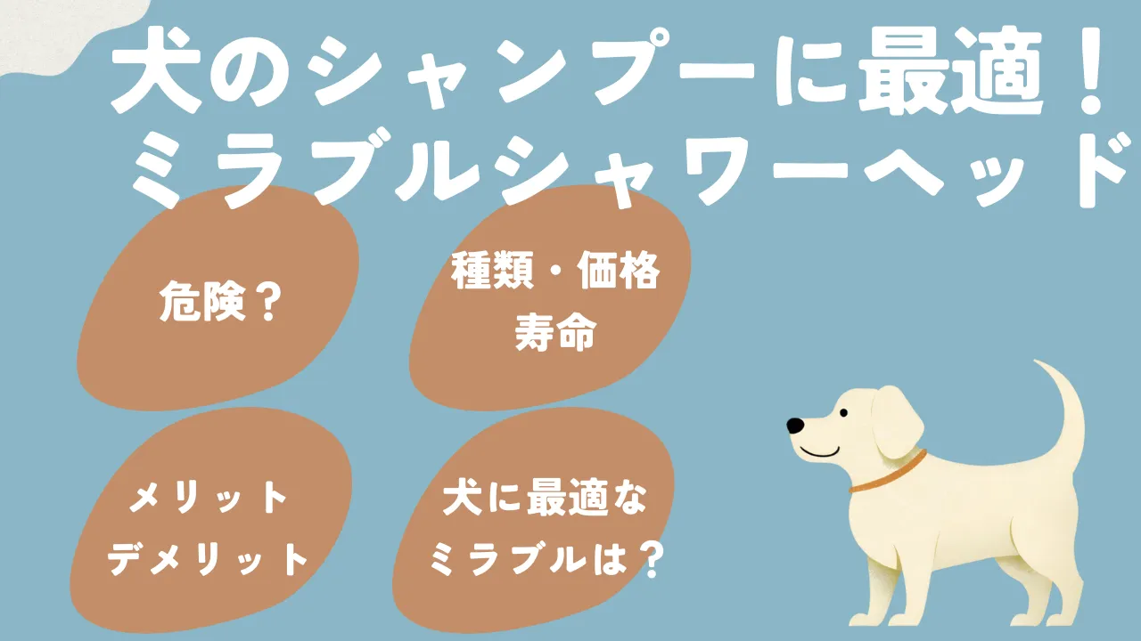 ミラブルシャワーヘッドと犬について