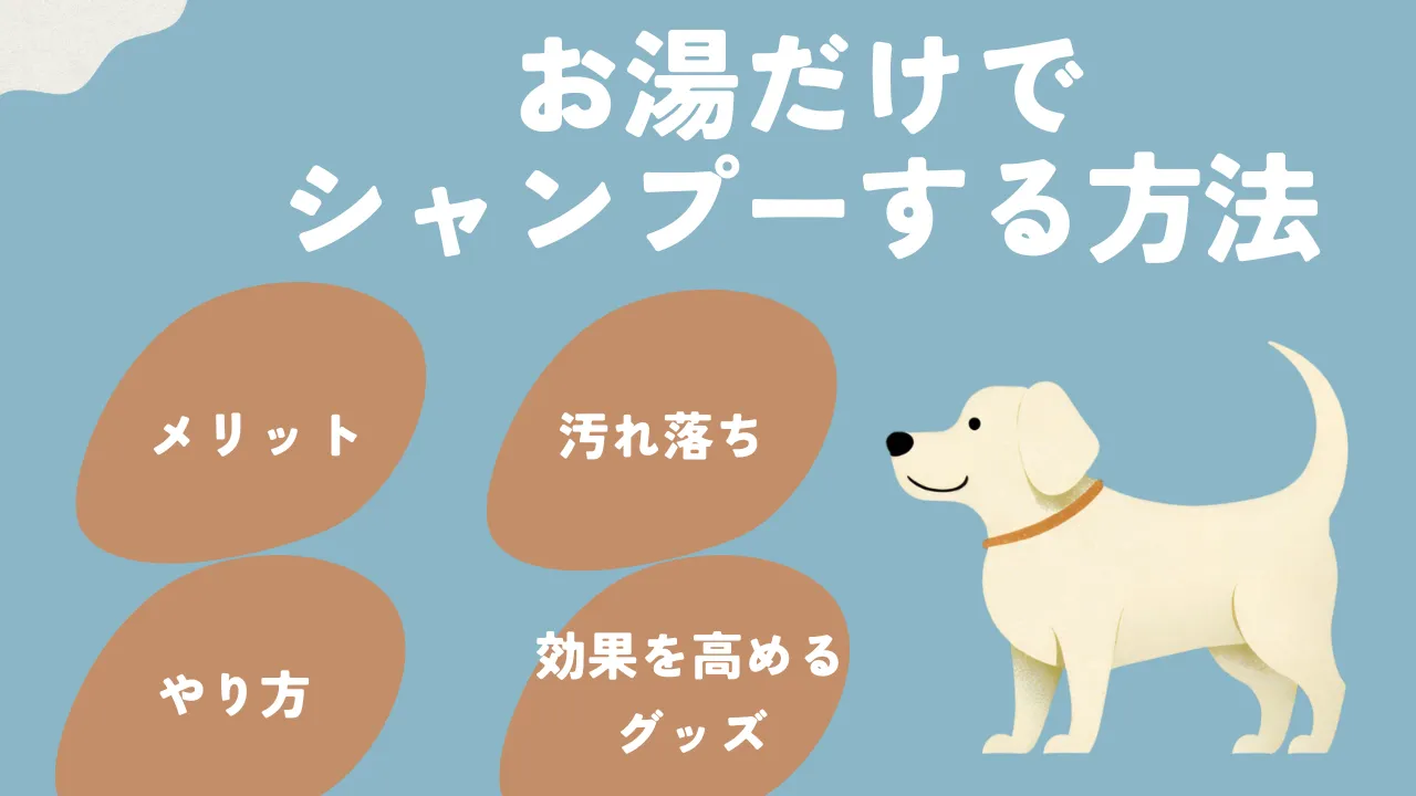 犬 シャンプー お湯 販売 だけ