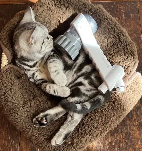 猫とミラブルzero